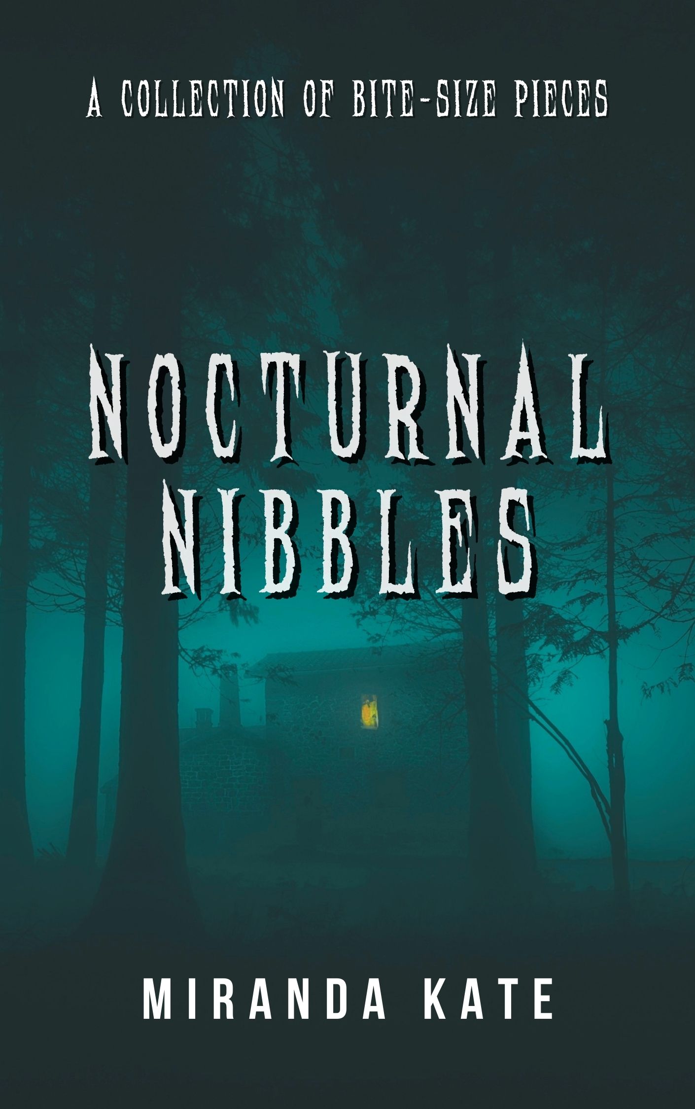 Nocturnal Nibbles cover