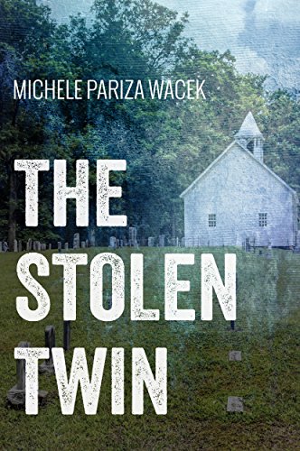The Stolen Twin by Michele Pariza Wacek