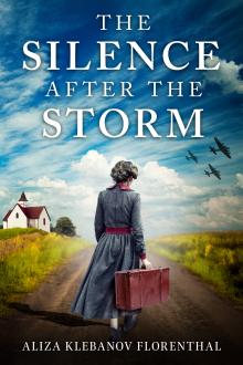 The Silence After The Storm: A Novel
