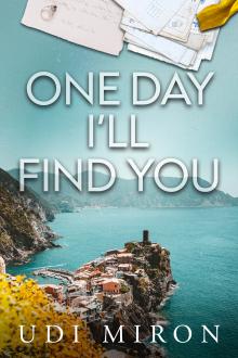 One Day I'll Find You: A Novel