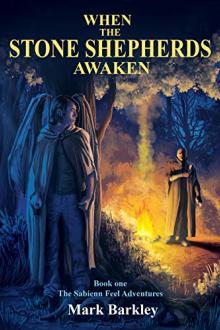 When The Stone Shepherds Awaken by Mark Barkley