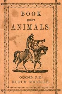 Book about Animals by Rufus Merrill