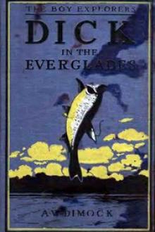 Dick in the Everglades by Anthony Weston Dimock
