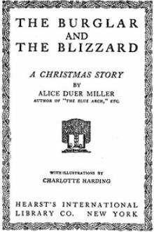 The Burglar and the Blizzard: A Christmas Story by Alice Duer Miller