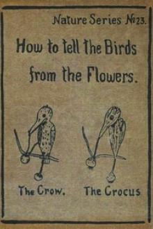 How to Tell the Birds from the Flowers by Robert Williams Wood