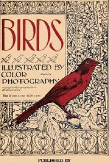 Birds, Illustrated by Color Photography, Vol. 1, No. 4 by Various