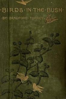 Birds in the Bush by Bradford Torrey