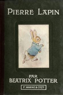 Histoire de Pierre Lapin by Beatrix Potter