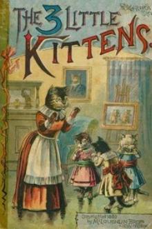The 3 Little Kittens by Anonymous