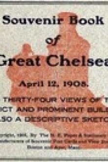 Souvenir Book of the Great Chelsea Fire April 12, 1908 by Anonymous