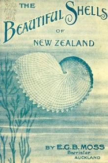 Beautiful Shells of New Zealand by Edward George Britton Moss