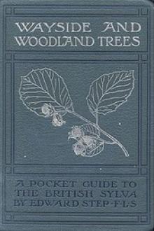 Wayside and Woodland Trees by Edward Step