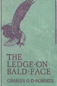 The Ledge on Bald Face by Sir Roberts Charles G. D.