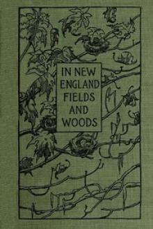 In New England Fields and Woods by Rowland E. Robinson