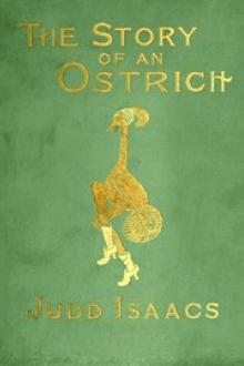 The Story of an Ostrich by I. J. Potter