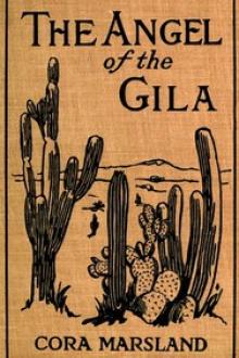 The Angel of the Gila by Cora Marsland