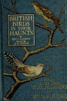 British Birds in Their Haunts by Charles Alexander Johns