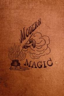 Modern Magic by Maximilian Schele de Vere