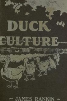 Natural and Artificial Duck Culture by James Rankin