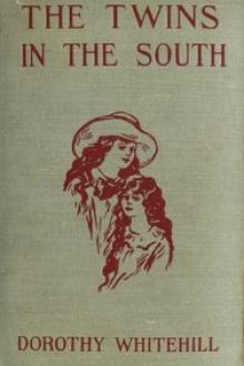 The Twins in the South by Dorothy Whitehill