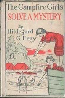 The Camp Fire Girls Solve a Mystery by Hildegard G. Frey