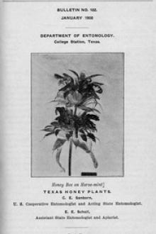 Texas Honey Plants by Ernest Emmett Scholl, Charles Emerson Sanborn