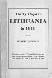Thirty Days in Lithuania in 1919 by Peter Saurusaitis