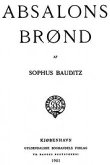 Absalons Brønd by Sophus Bauditz