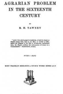 The Agrarian Problem in the Sixteenth Century by R. H. Tawney