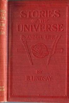 Stories of the Universe by B. Lindsay