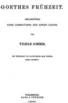 Aus Goethes Frühzeit by Wilhelm Scherer