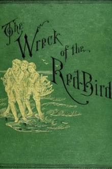 The Wreck of the Red Bird by George Cary Eggleston