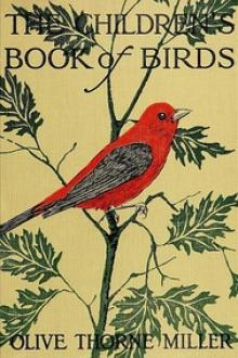 The Children's Book of Birds by Olive Thorne Miller