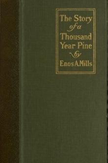 The Story of a Thousand-Year Pine by Enos Abijah Mills