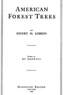 American Forest Trees by Henry H. Gibson