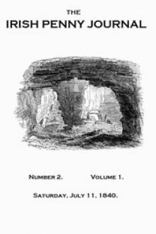 The Irish Penny Journal, Vol by Various