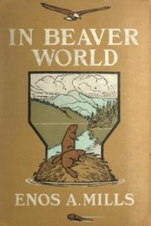 In Beaver World by Enos Abijah Mills
