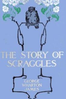 The Story of Scraggles by George Wharton James