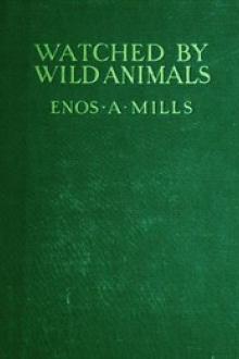 Watched by Wild Animals by Enos Abijah Mills