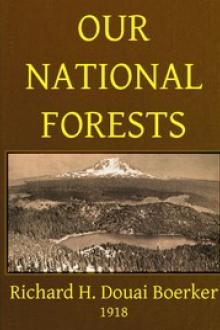 Our National Forests by Richard Hans Douai Boerker