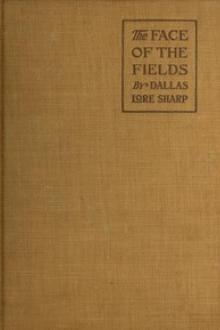 The Face of the Fields by Dallas Lore Sharp