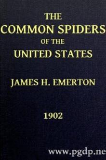 The Common Spiders of the United States by James Henry Emerton