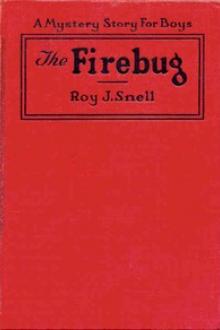 The Firebug by Roy J. Snell
