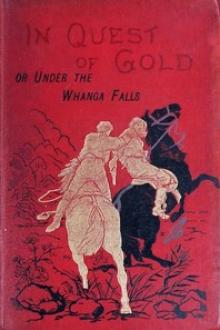 In Quest of Gold by Alfred St. Johnston