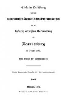 Einfache Erzählung von dem schrecklichen Absturze des Schrofenberges und der dadurch erfolgten Verwüstung bei Brannenburg im August 1851 by Sebastian Dachauer