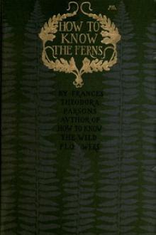 How to Know the Ferns by Frances Theodora Parsons