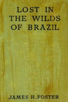 Lost in the Wilds of Brazil by James H. Foster