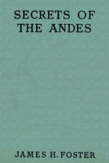 Secrets of the Andes by James H. Foster