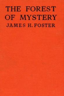 The Forest of Mystery by James H. Foster