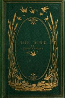 The Bird by Jules Michelet